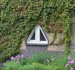 Deze raamvorm, nog net zichtbaar onder het gebladerte, komt vaker voor.
              <br/>
              Richard Keijzer, 2014-07-10